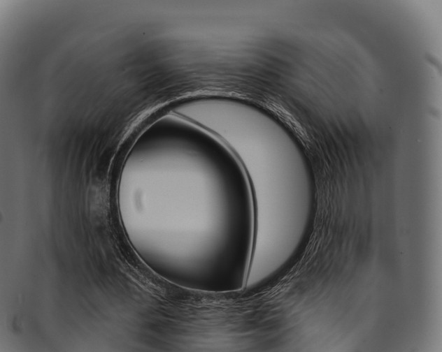 X0000094960484200711291131