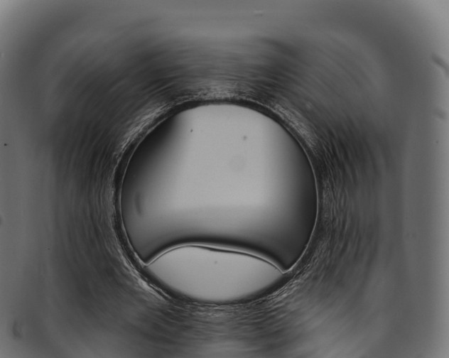 X0000094960485200711291131