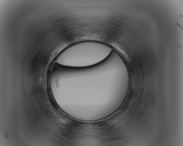X0000094960486200711291131