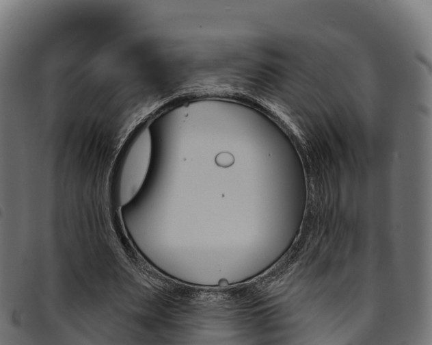 X0000094960487200711291131