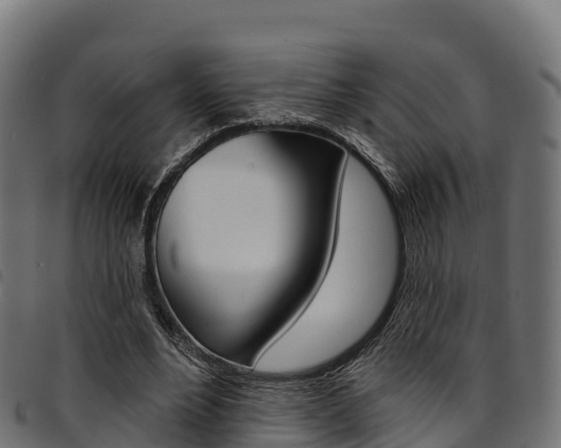 X0000094960488200711291131
