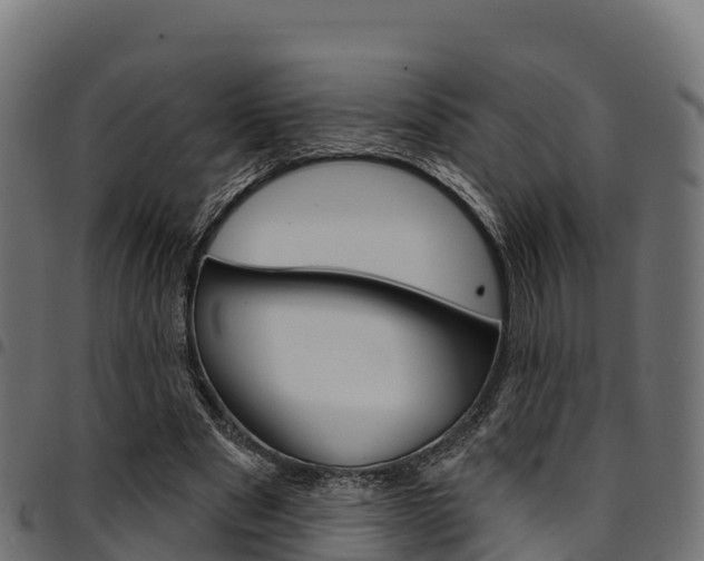X0000094960489200711291131
