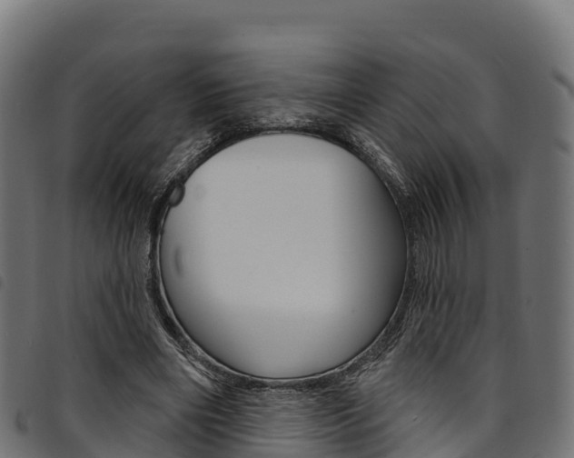 X0000094960490200711291131