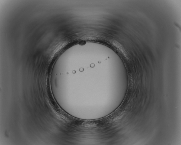 X0000094960491200711291131