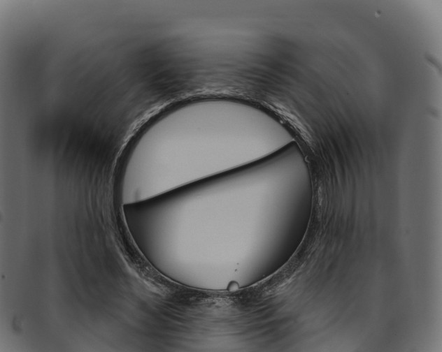 X0000094960492200711291131
