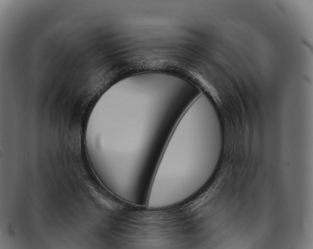 X0000094960493200711291131