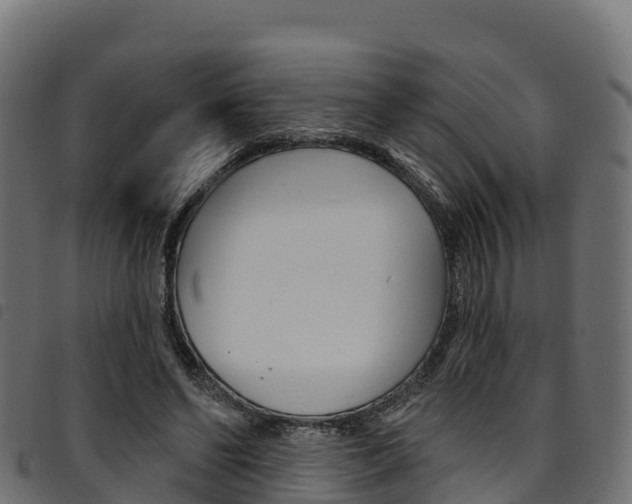 X0000094960494200711291131