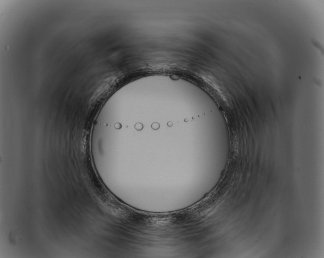 X0000094960495200711291131
