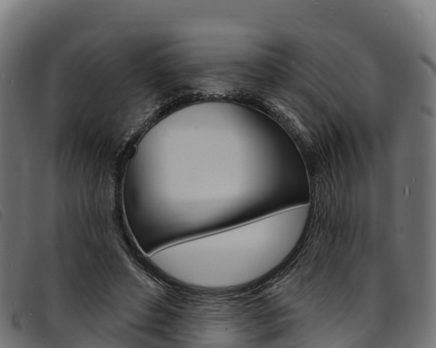 X0000094960496200711291131