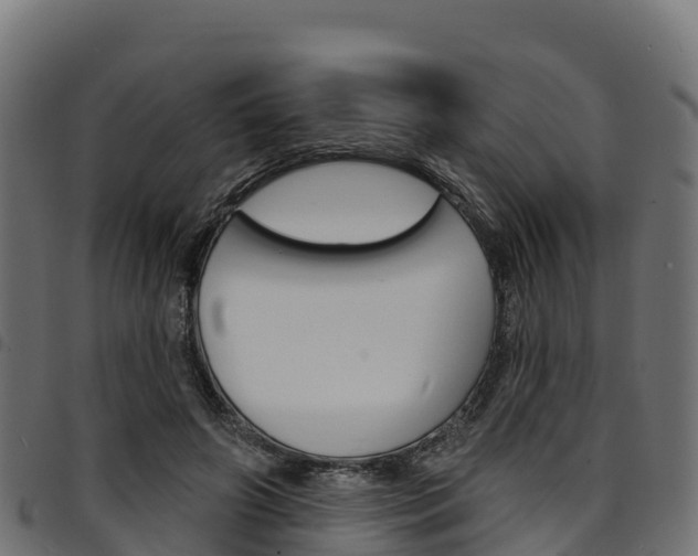X0000094960498200711291131