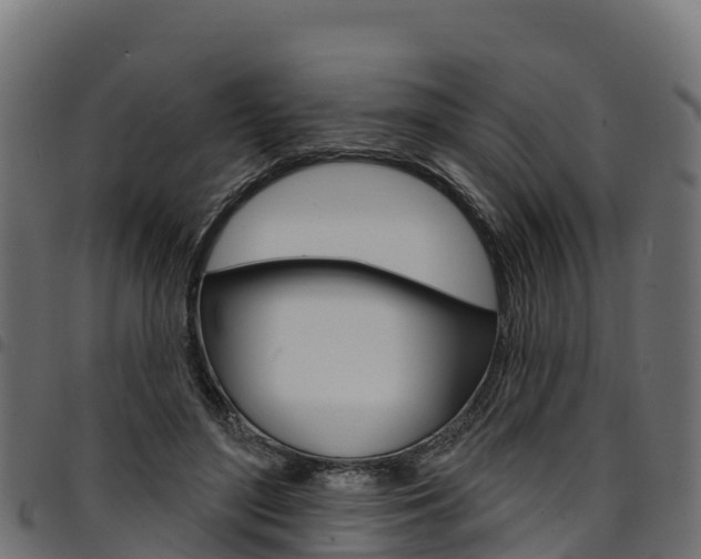 X0000094960500200711291131