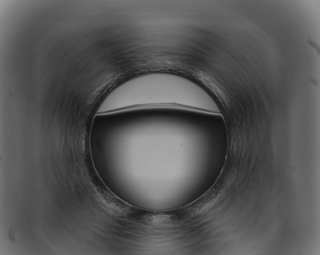 X0000094960501200711291131