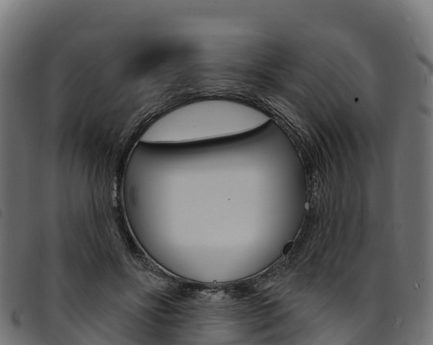 X0000094960502200711291131