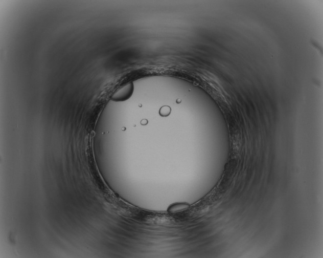 X0000094960503200711291131