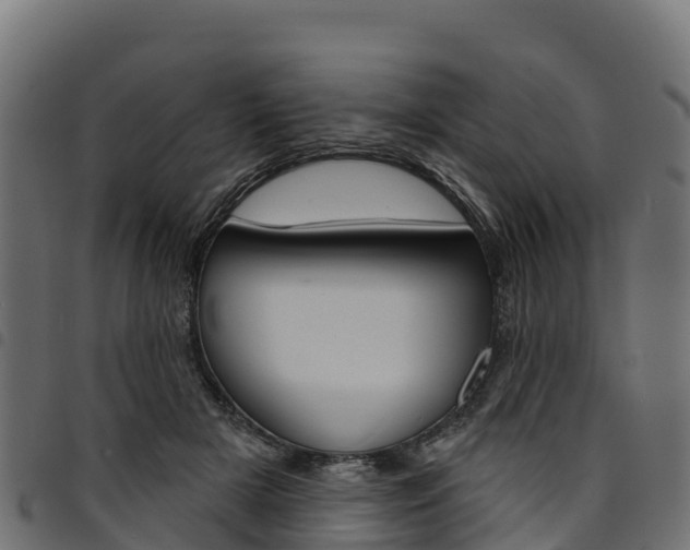 X0000094960505200711291131