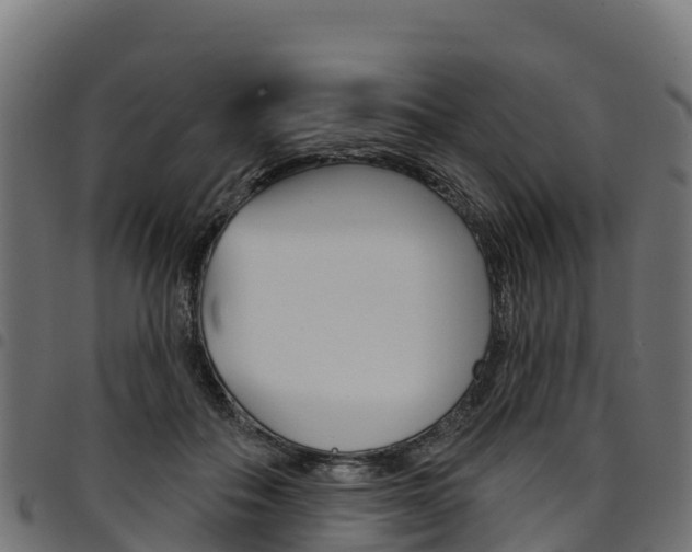 X0000094960506200711291131