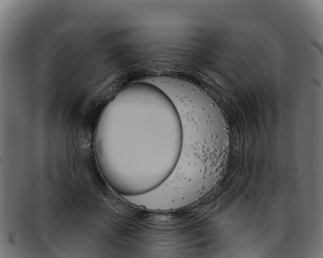 X0000094960507200711291131