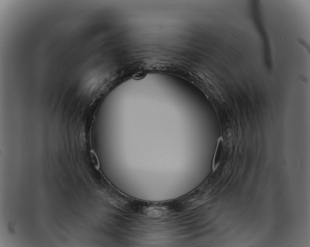 X0000094960508200711291131