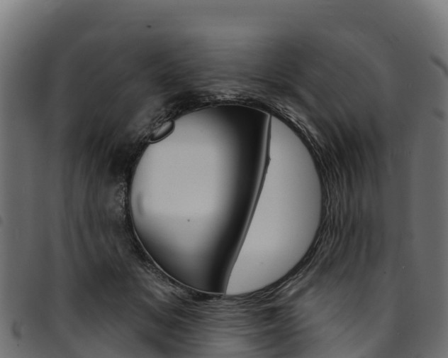 X0000094960509200711291131