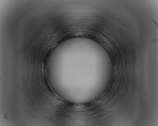 X0000094960510200711291131