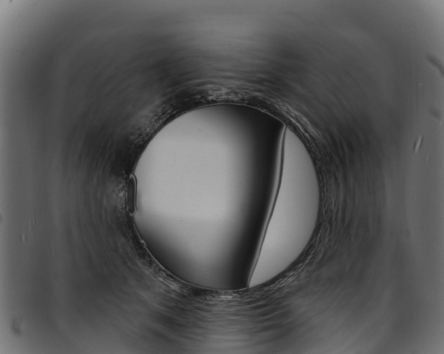 X0000094960513200711291131