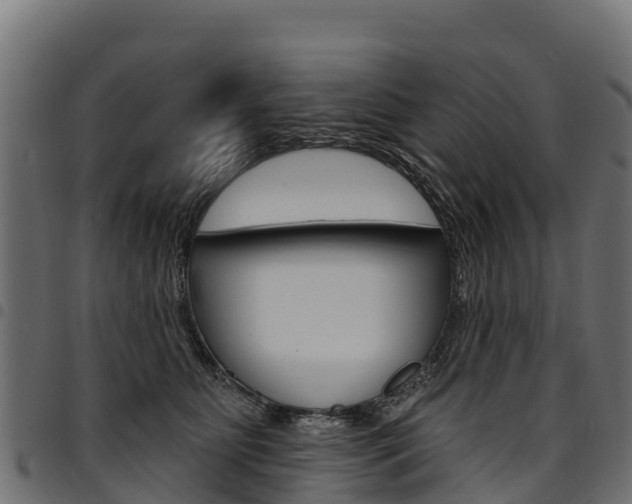 X0000094960515200711291131