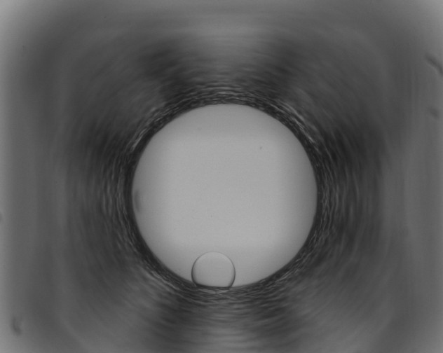 X0000094960516200711291131