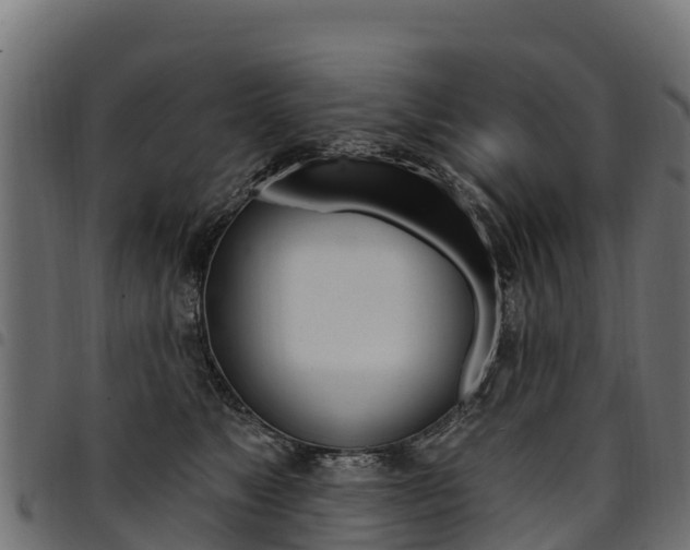 X0000094960517200711291131