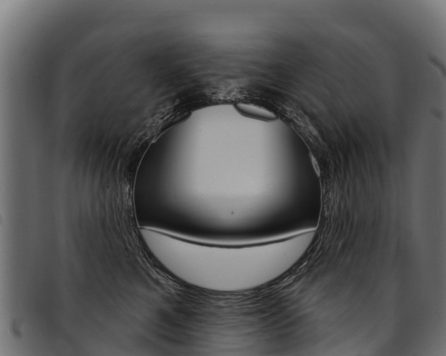 X0000094960521200711291131