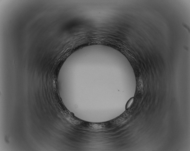 X0000094960522200711291131