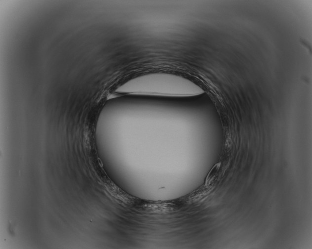 X0000094960524200711291131
