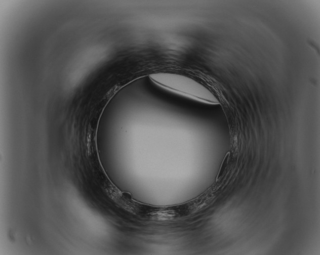 X0000094960525200711291131