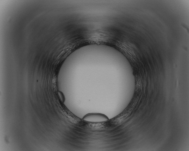 X0000094960526200711291131
