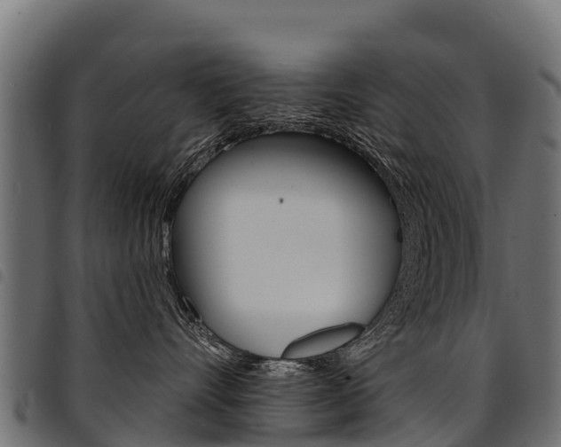 X0000094960528200711291130
