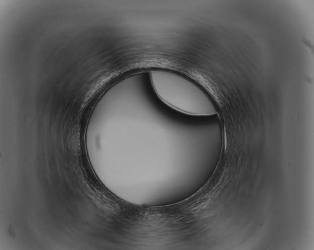 X0000094960531200711291130