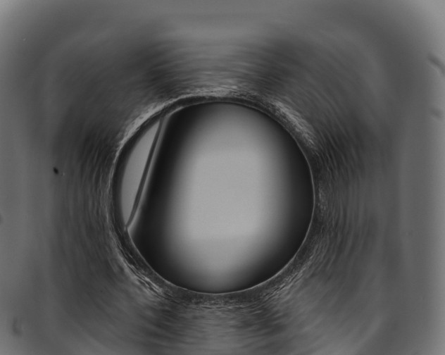 X0000094960532200711291130