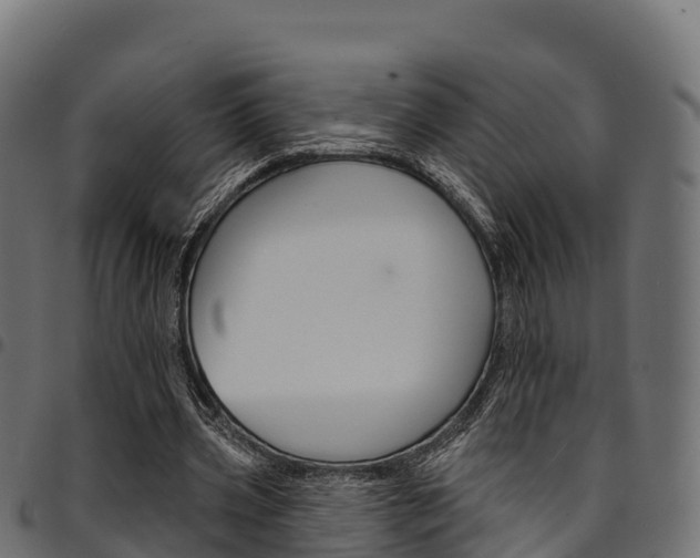 X0000094960533200711291130