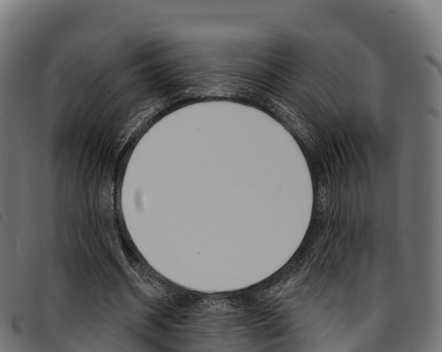 X0000094960534200711291130