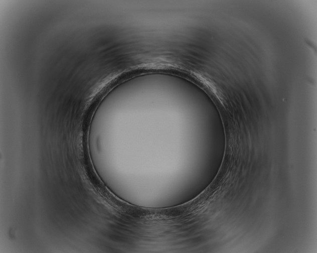 X0000094960535200711291130