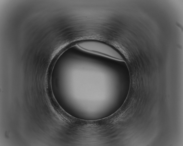 X0000094960536200711291130