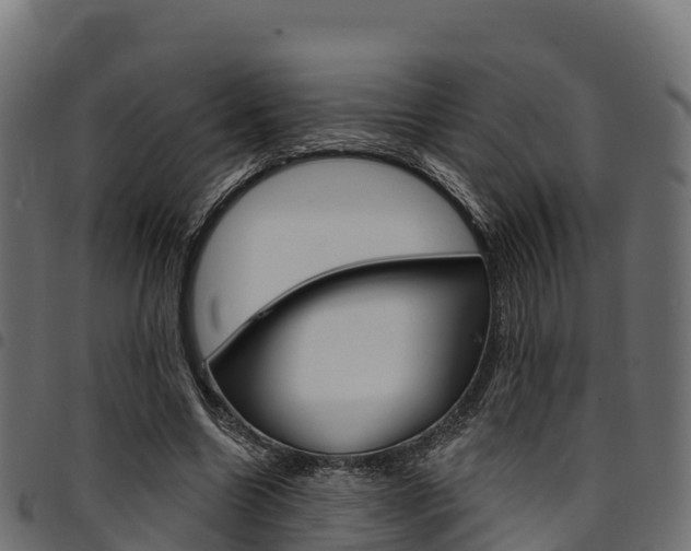 X0000094960538200711291130