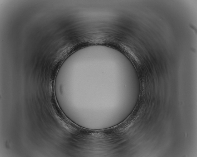 X0000094960541200711291130