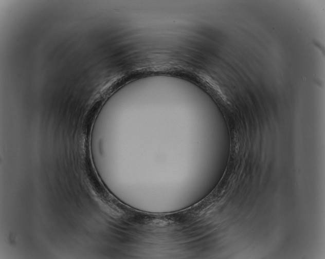 X0000094960542200711291130