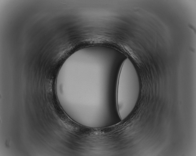 X0000094960543200711291130