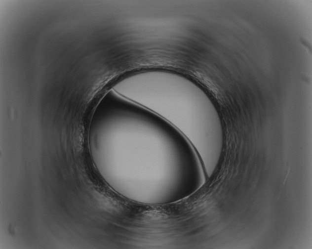 X0000094960544200711291130