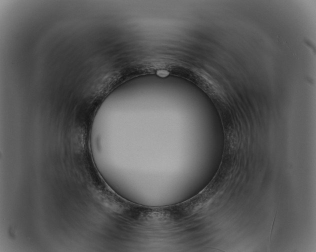 X0000094960546200711291130
