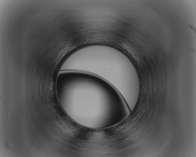 X0000094960548200711291130