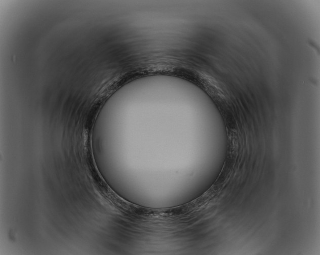 X0000094960550200711291130