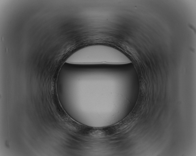 X0000094960551200711291130
