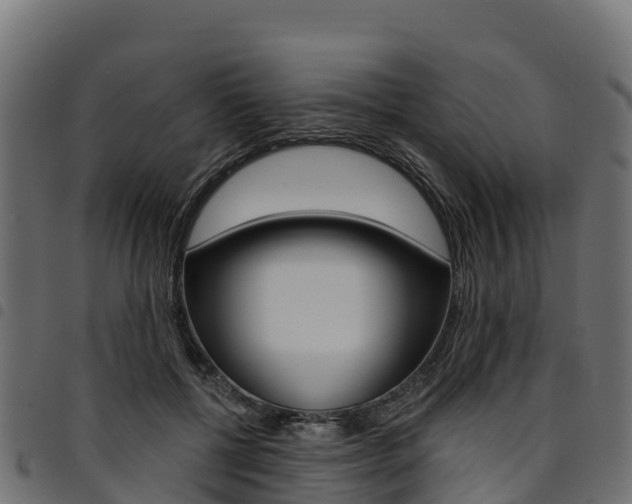 X0000094960552200711291130